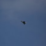 Jet Flugtage Ganderkesee 2008